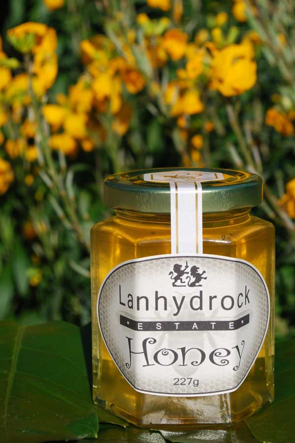 lanhydrock-estate-honey-jar